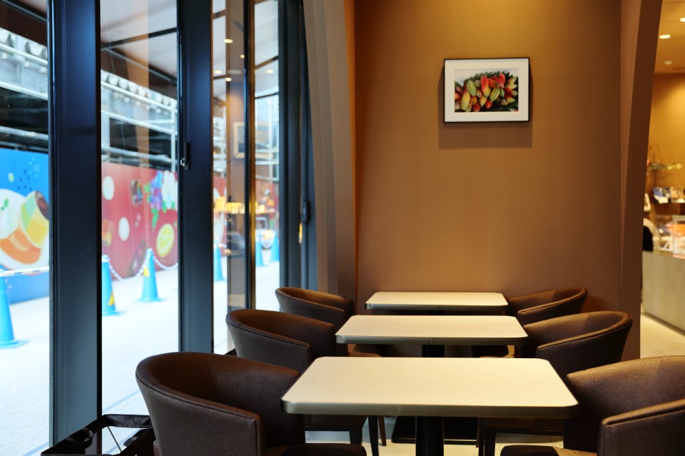 カカオティエゴカン