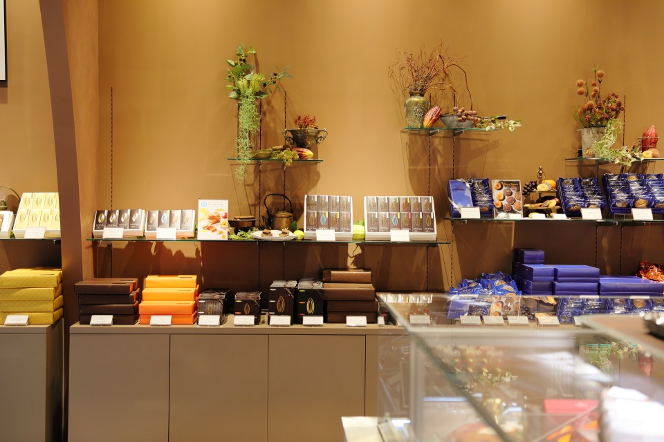 カカオティエゴカン