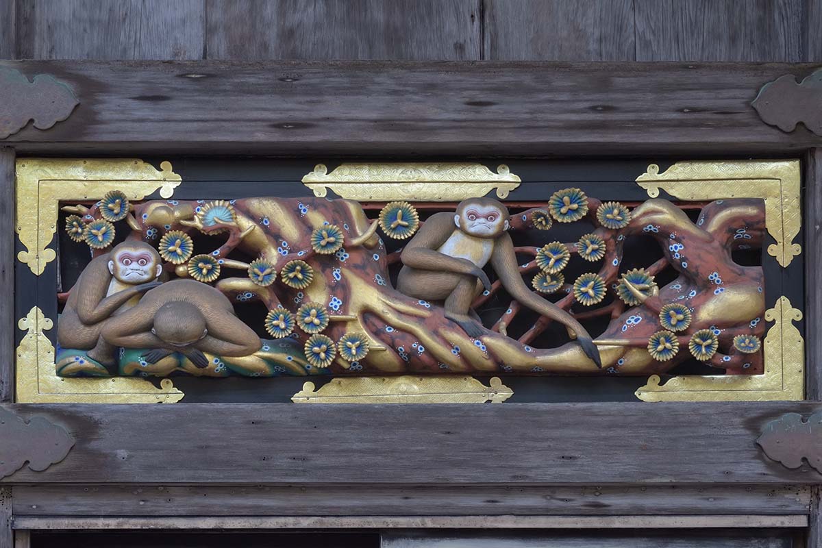 4枚目の青年時代の猿。時には挫折や失敗もある