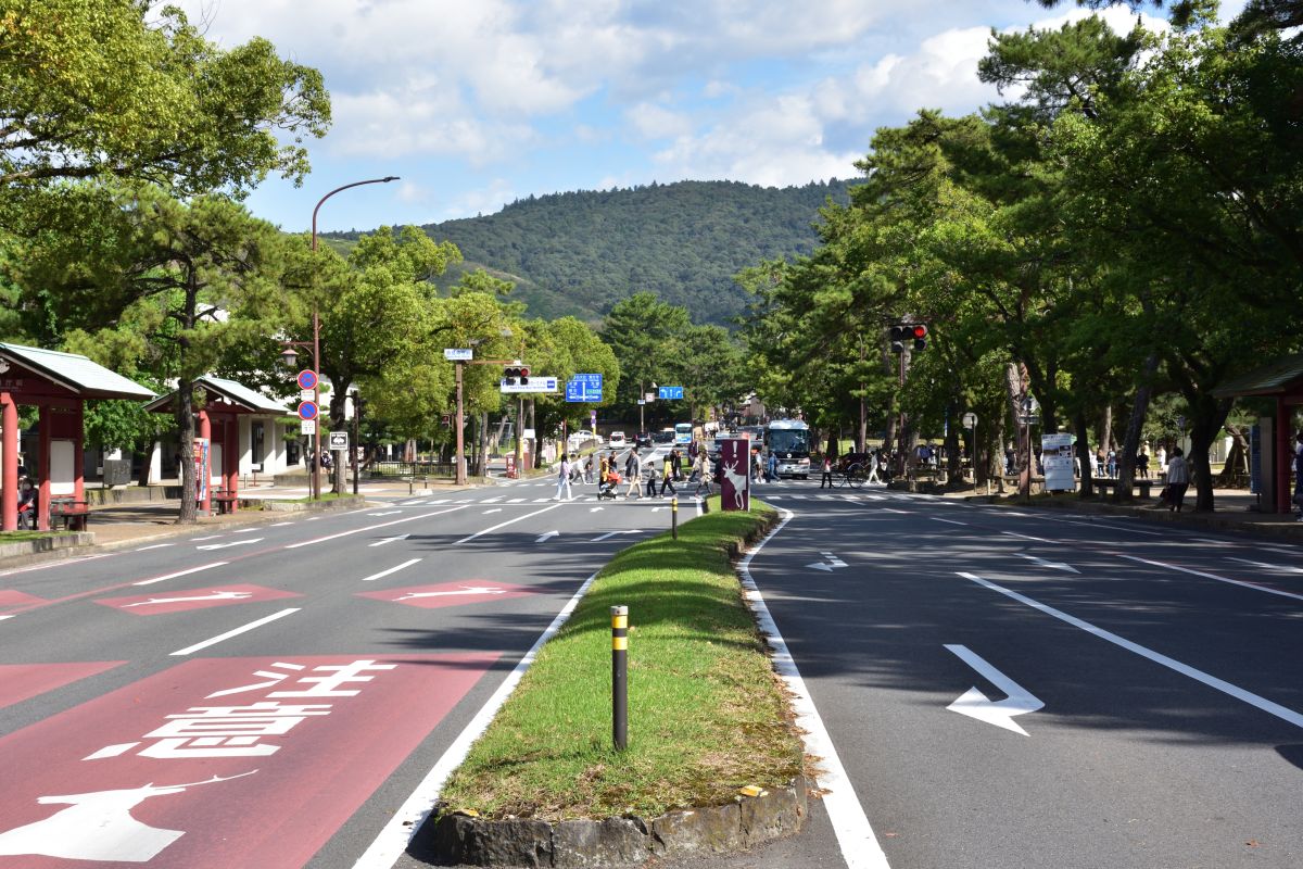 登大路通りから見た春日山
