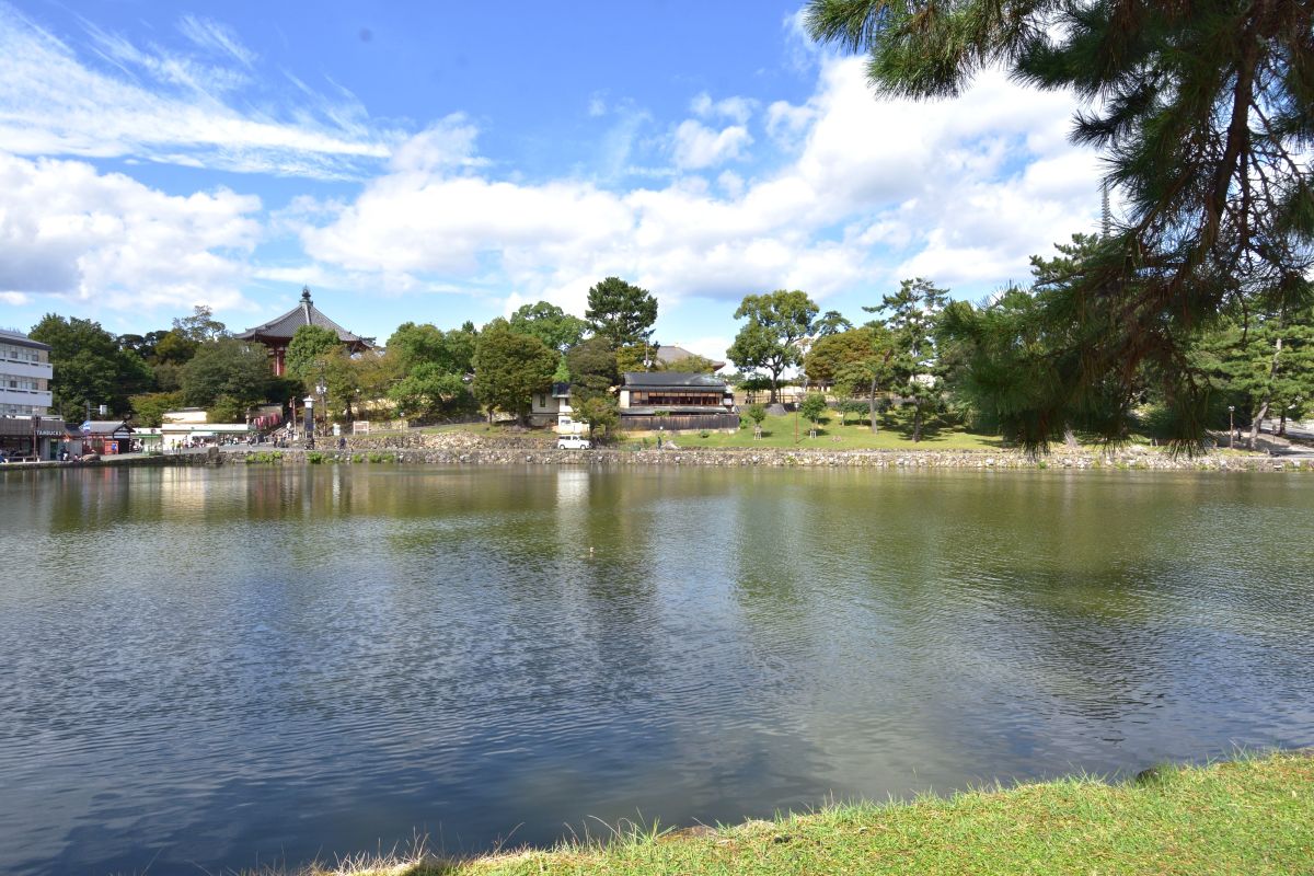 興福寺の南に広がる猿沢池園地
