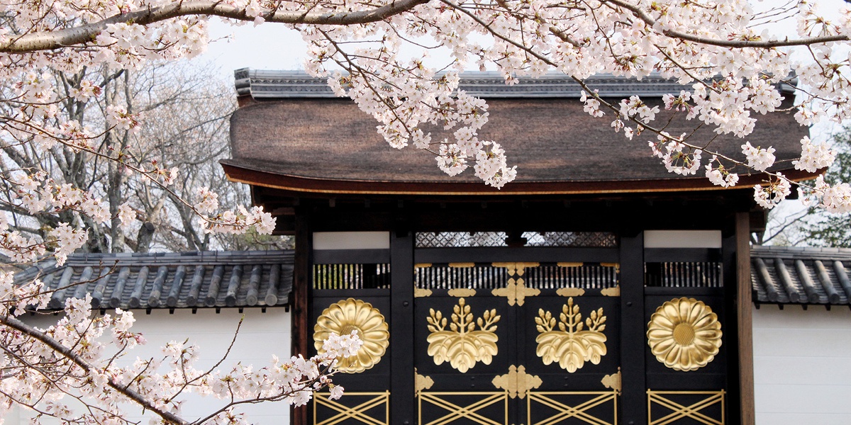 【京都】豊臣秀吉も愛した桜の名所、世界文化遺産・醍醐寺は自然美と建築美の宝庫!