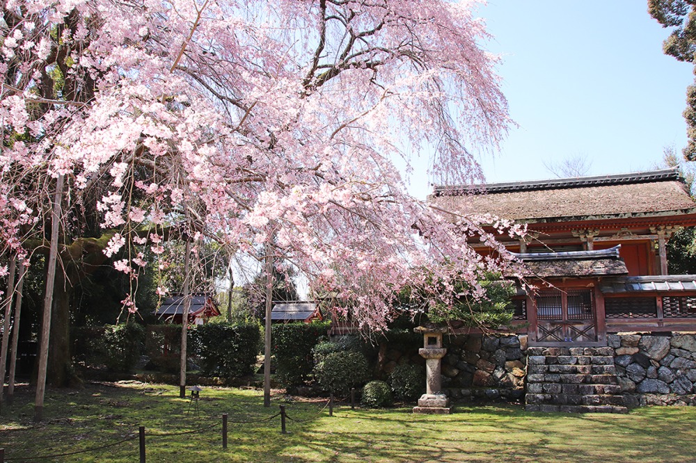 下醍醐清龍宮本殿(提供:醍醐寺)