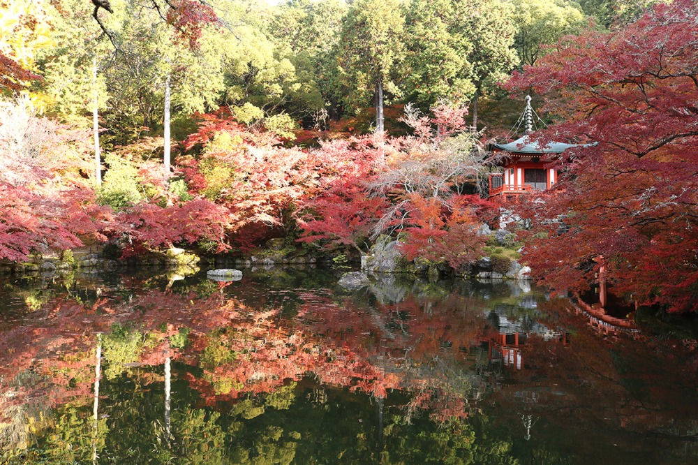 秋の弁天堂(提供:醍醐寺)