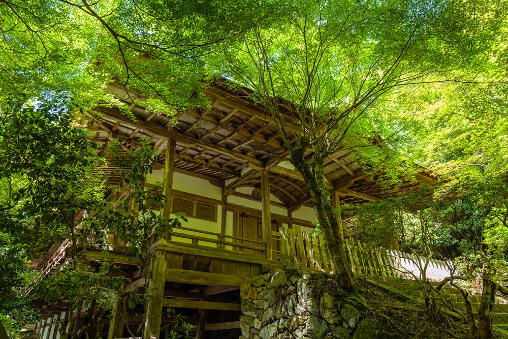 上醍醐 清瀧宮拝殿(提供:醍醐寺)