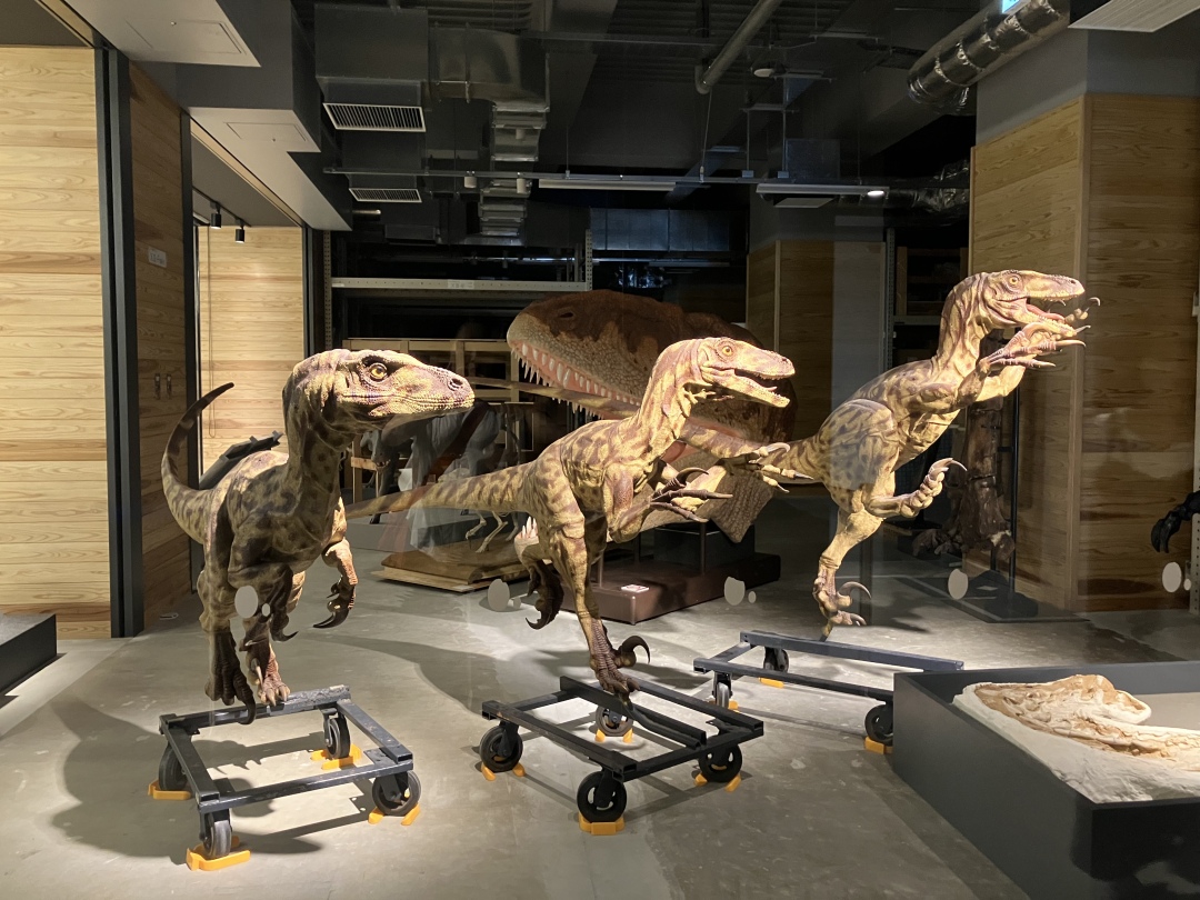 福井県立恐竜博物館