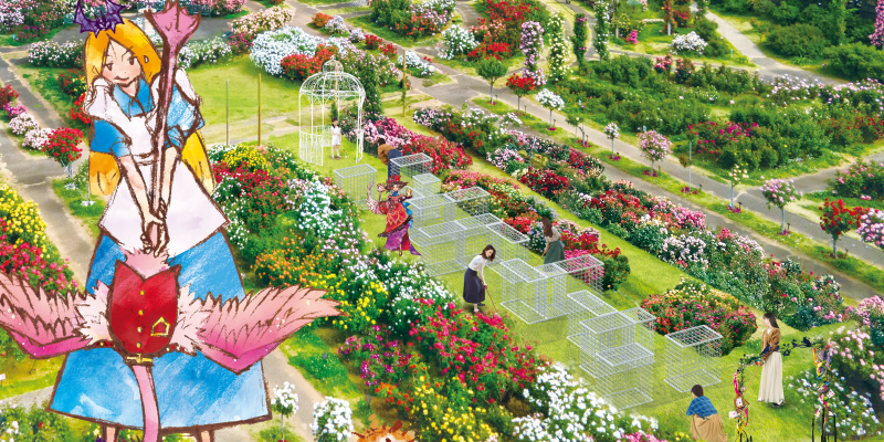 【京成バラ園】秋バラをチェック!10月5日から始まる秋イベントに行ってきました♪