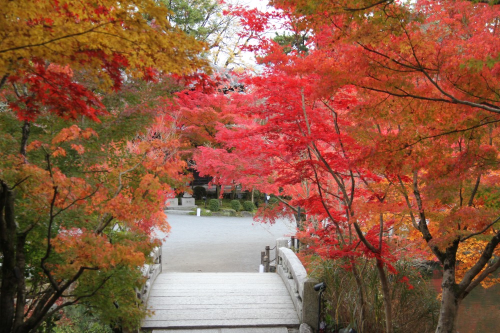 画像提供：永観堂