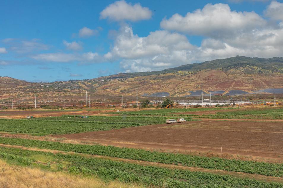 車窓からの様子
