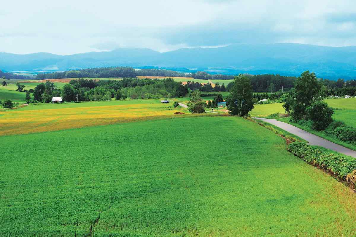 北西の丘展望公園