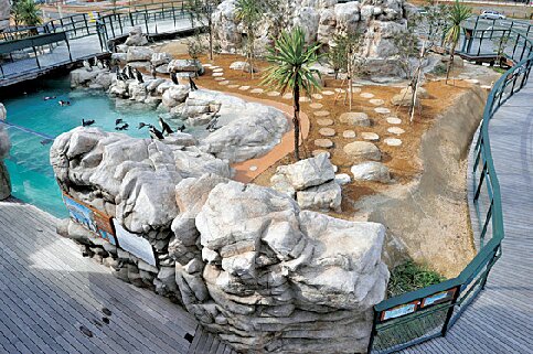 下関市立しものせき水族館海響館