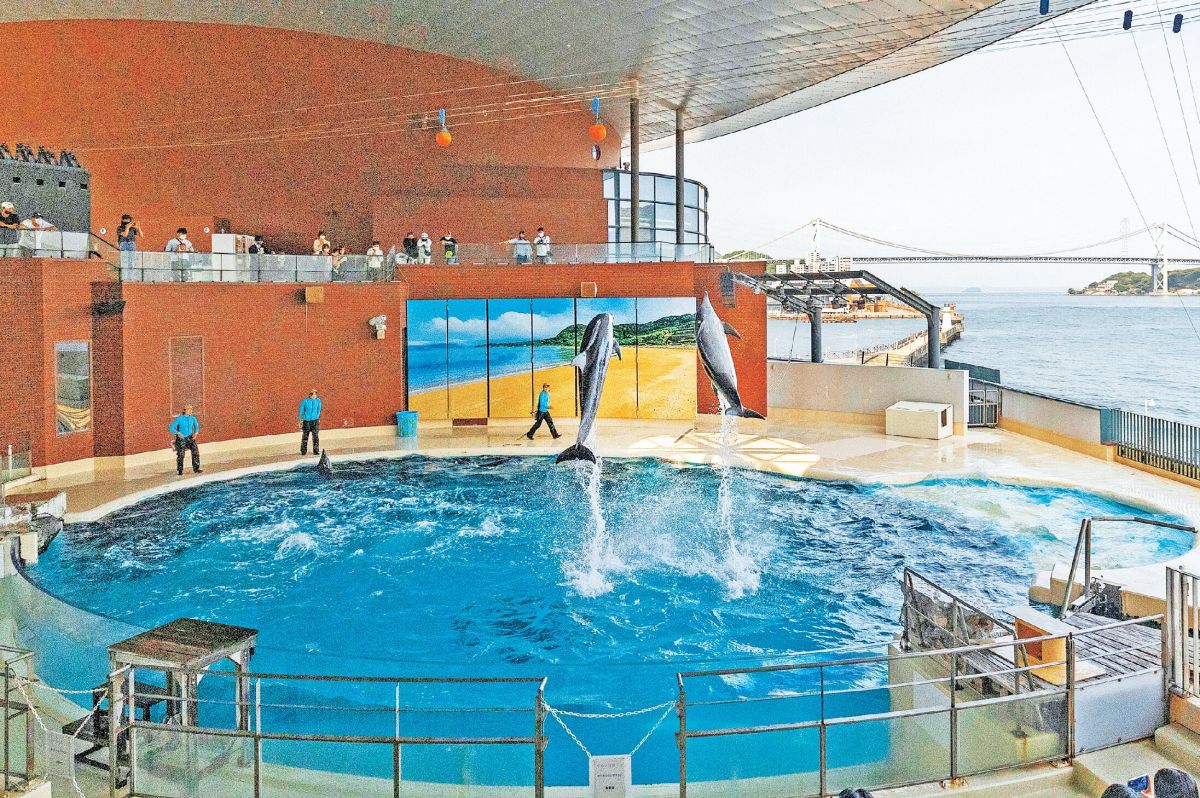 下関市立しものせき水族館海響館