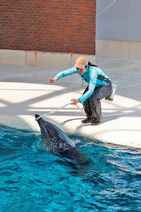 下関市立しものせき水族館海響館