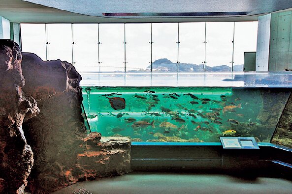下関市立しものせき水族館海響館