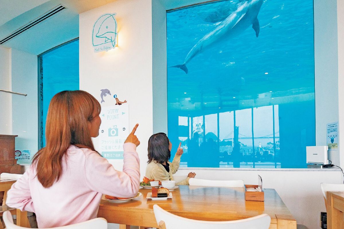 下関市立しものせき水族館海響館