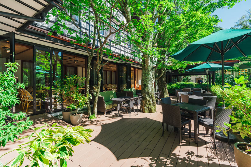 ワンちゃん連れOKのテラスも50席と広々