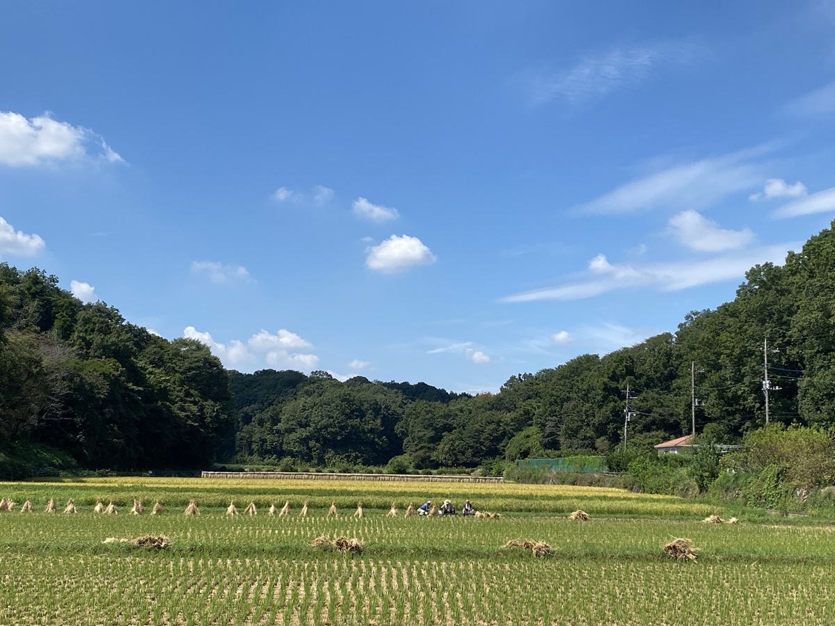 里山に囲まれた谷戸に田んぼが広がる寺家