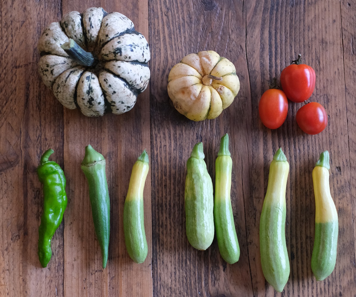 「JIKE STUDIO FARM」の野菜たち。アート作品のよう