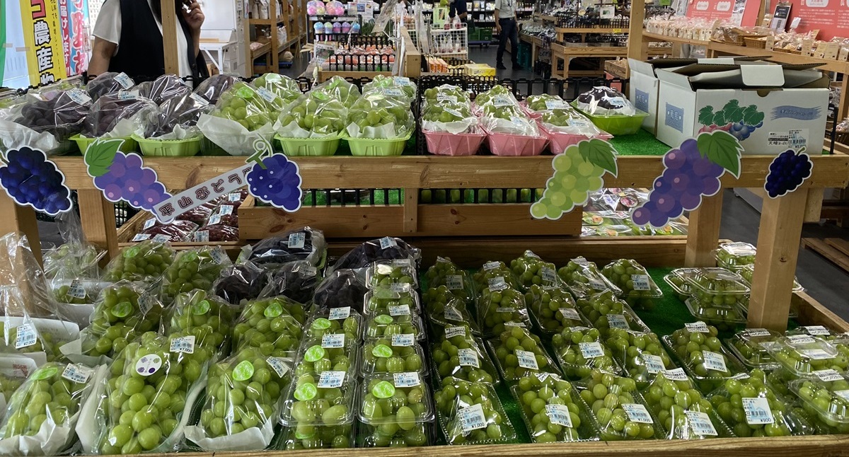 2つの駅が一体になった「道の駅・川の駅 水の郷さわら」｜千葉