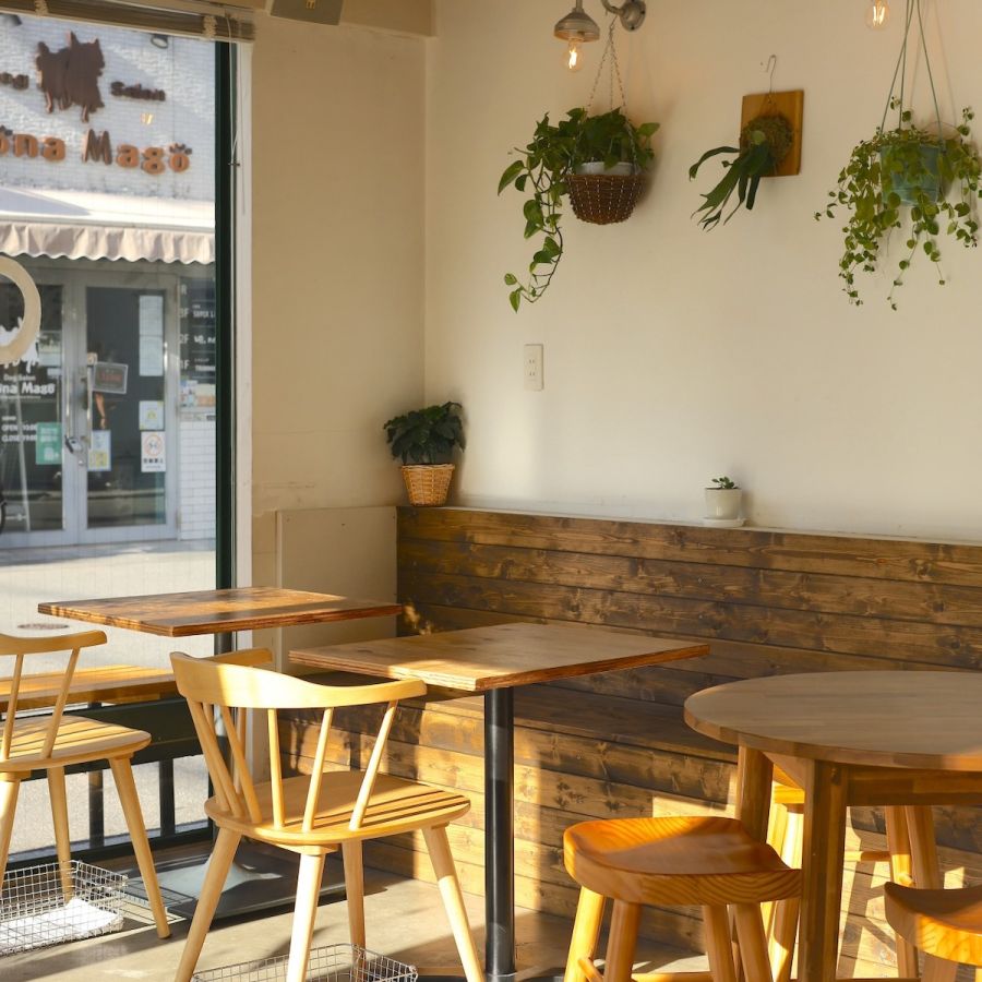 ポカポカとした陽光がなんとも心地よし