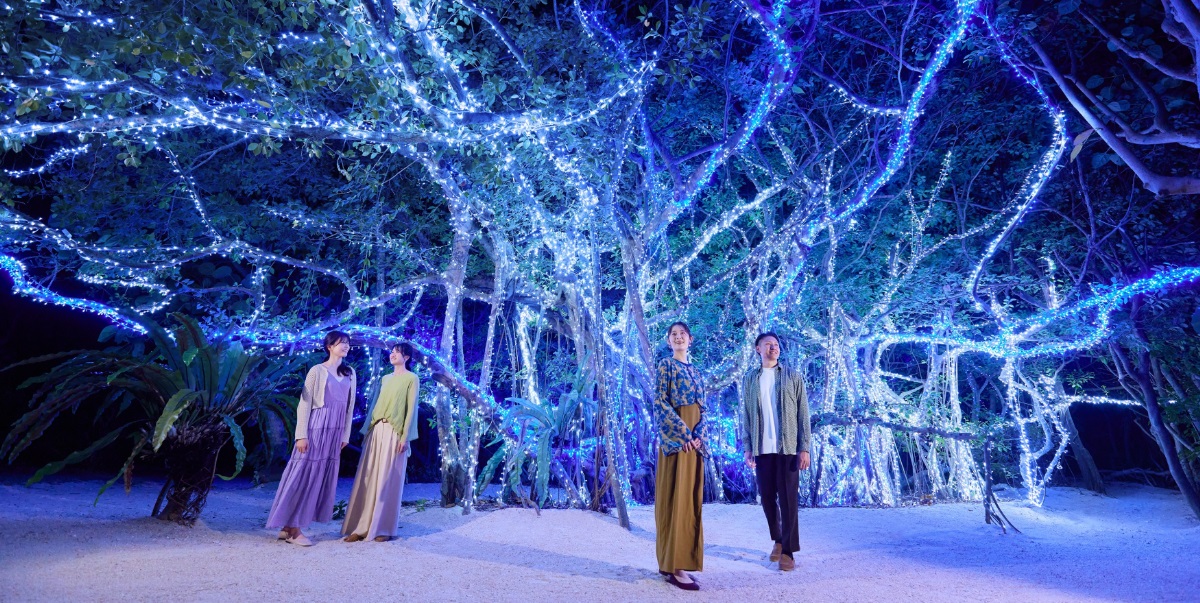 「リゾナーレ小浜島」で、煌めくイルミネーションやオリジナルブッシュドノエルが楽しめる「ガジュマルクリスマス」が2024年12月1日から開催