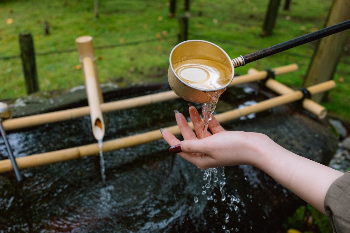 S9, S 18-40 F4.5-6.3 / 40mm, 1/1000sec, F5.4 ISO3200, LUT Sample LUT2 ©6151