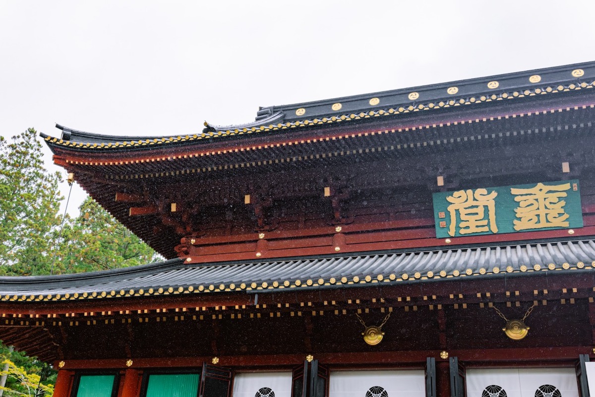 S9, S 18-40 F4.5-6.3 / 40mm, 1/1000sec, F5.4 ISO800, LUT Sample LUT2 ©6151