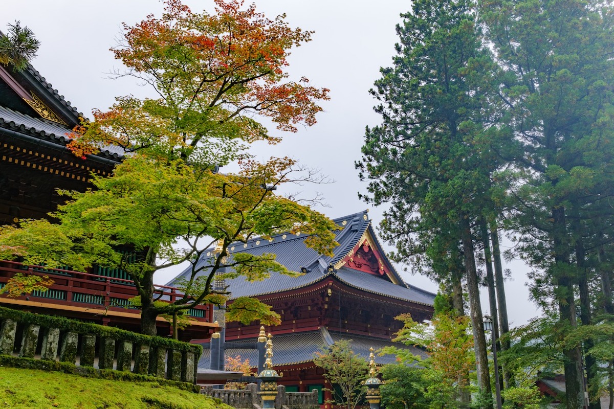 S9, S 18-40 F4.5-6.3 / 40mm, 1/125sec, F5.4 ISO100, LUT Sample LUT2 ©6151