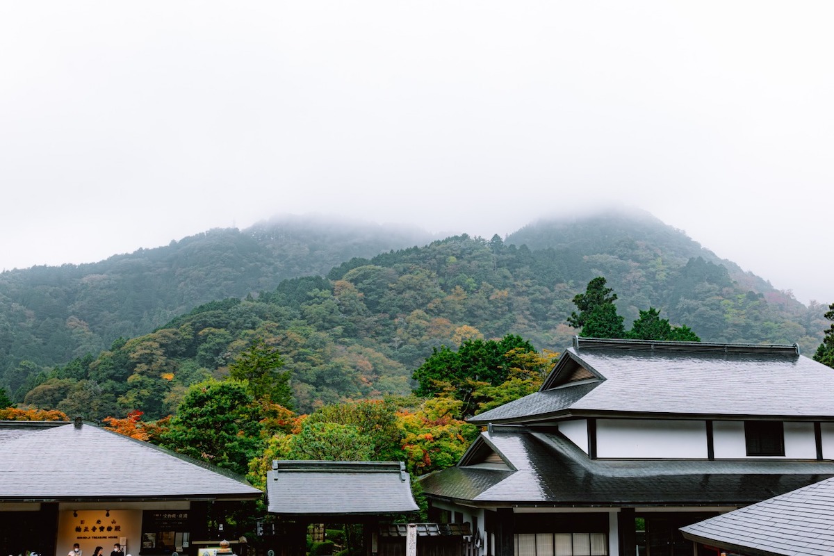 S9, S 18-40 F4.5-6.3 / 39mm, 1/1000sec, F6.3 ISO800, LUT Sample LUT2 ©6151