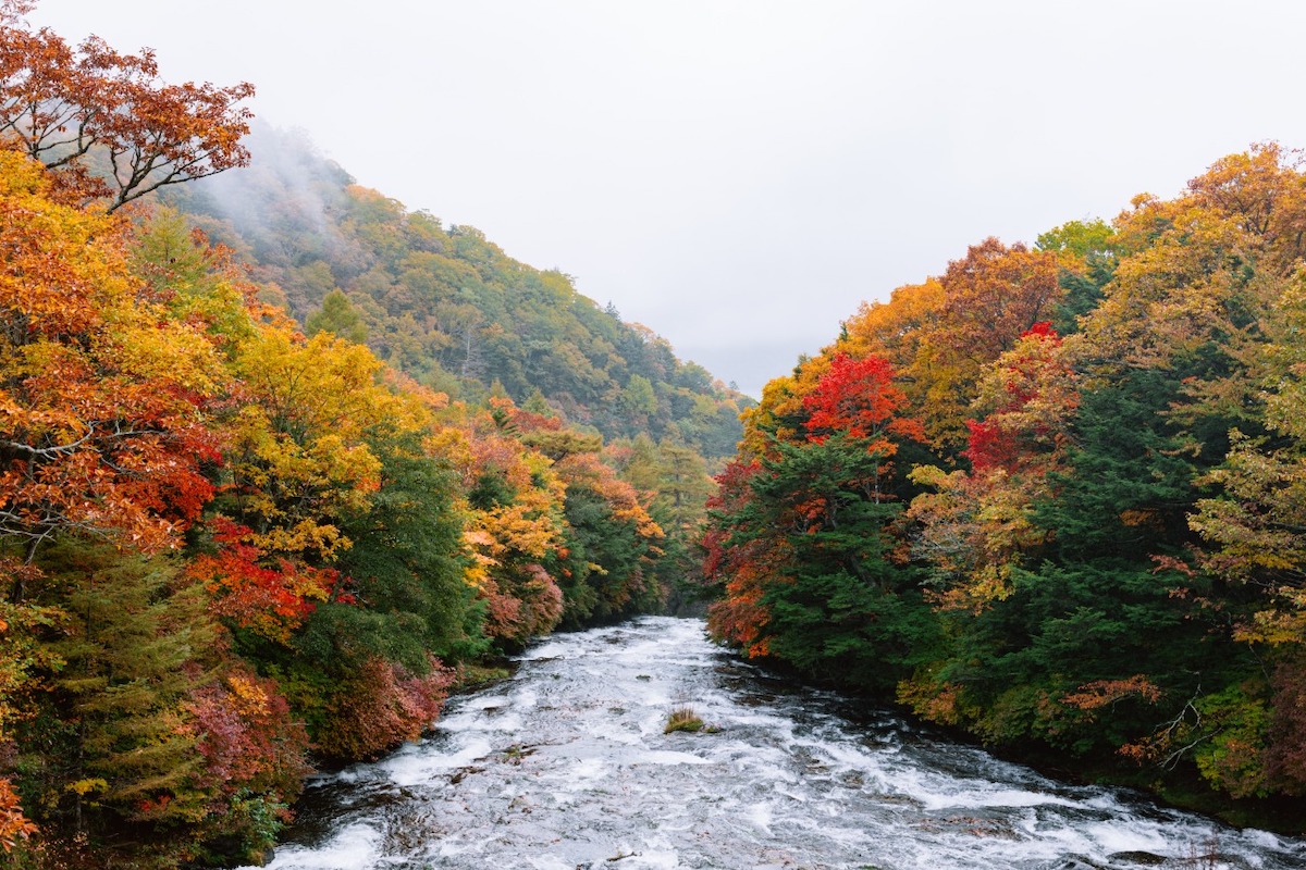 【標準40mm】S9, S 18-40 F4.5-6.3 / 40mm, 1/160sec, F5.4 ISO100, LUT Sample LUT2 ©6151