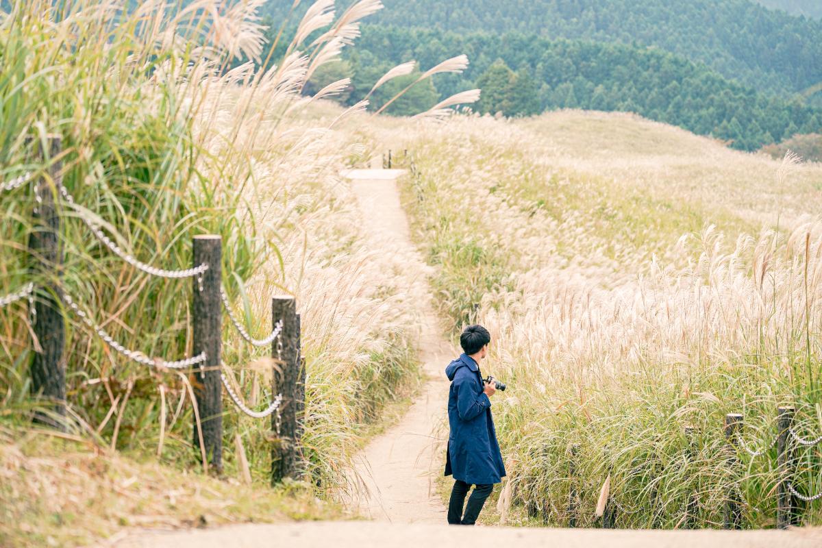 2023年優秀受賞作品：関西随一のススキの名所として知られる“曽根高原”。日没前に鑑賞できる「黄金の絨毯」が最大の見どころ