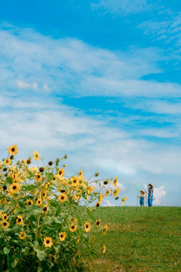 2023年優秀受賞作品：“馬見丘陵公園”では季節ごとに色とりどりの花が咲き誇る