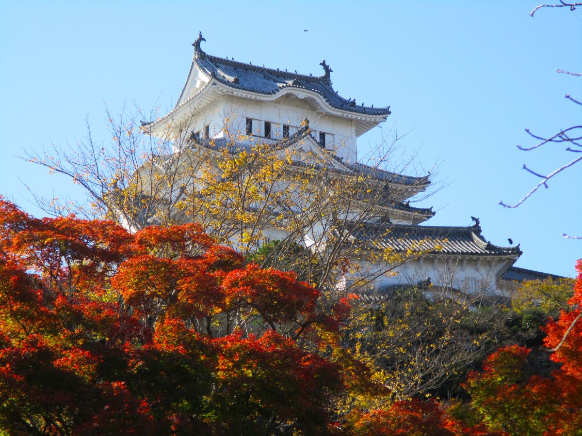 秋になると紅葉狩りに多くの人が訪れます
