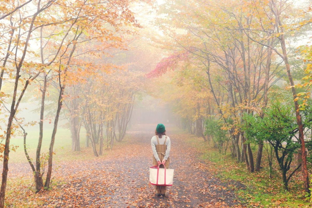 LUMIX S9,S18-40 F4.5-6.3/40㎜,1/50sec,F6.3,ISO160,@YURIE～～～～～～～～～～