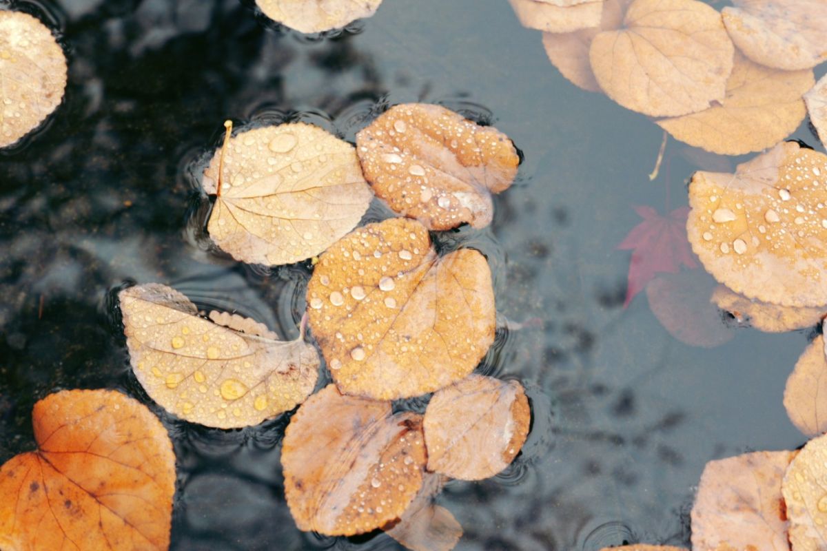 LUMIX S9,S18-40 F4.5-6.3/40㎜,1/50sec,F6.3,ISO160,@YURIE～～～～～～～～～～～～