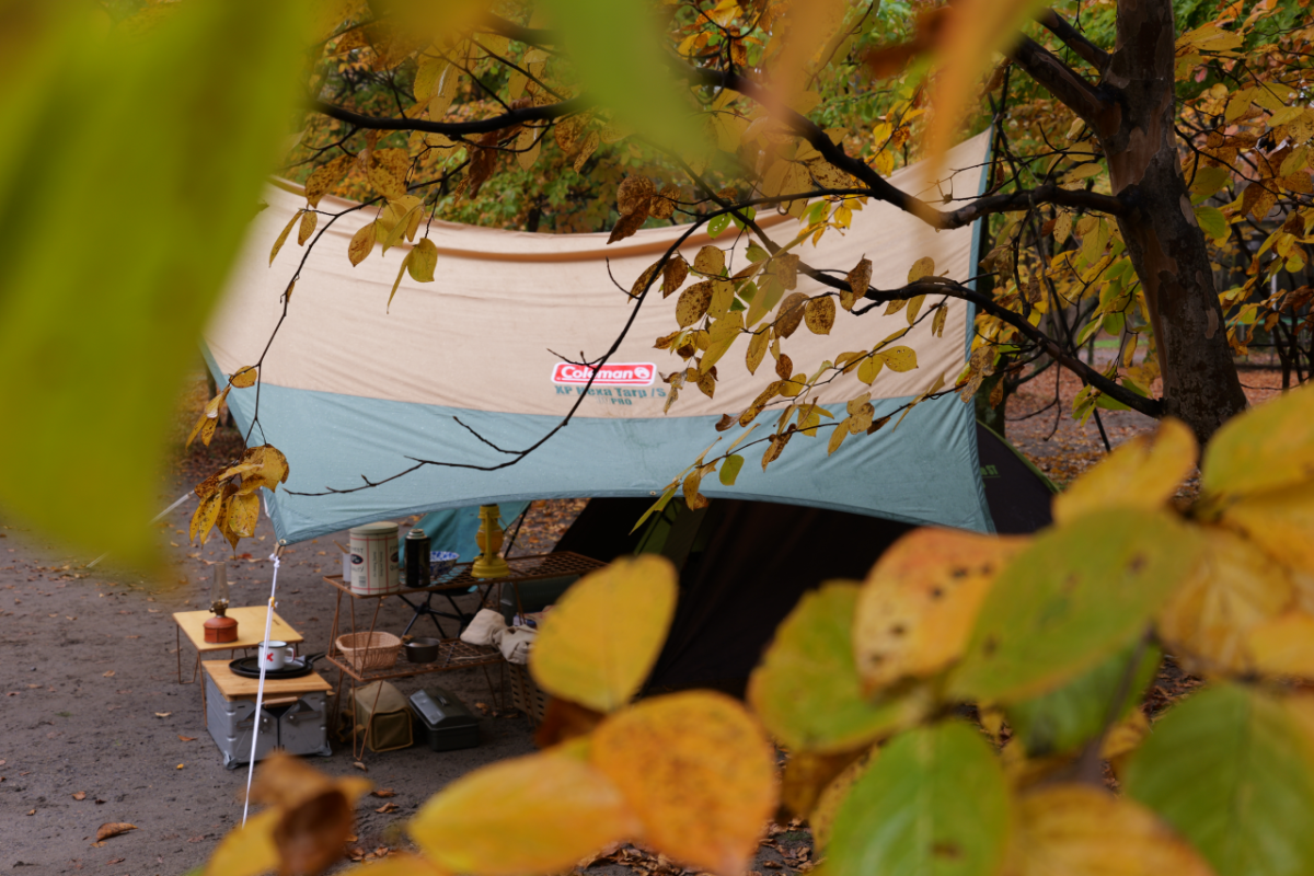 LUMIX S9,S18-40 F4.5-6.3/40㎜,1/50sec,F6.3,ISO160,@YURIE