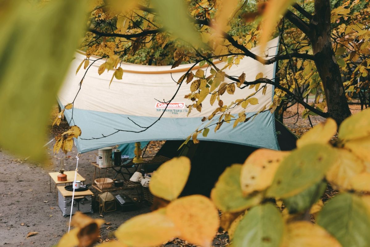 「LUT」使用前（上）・「LUT」使用後（下）／LUMIX S9,S18-40 F4.5-6.3/40㎜,1/50sec,F6.3,ISO160,LUT Film- Blue-S,@YURIE