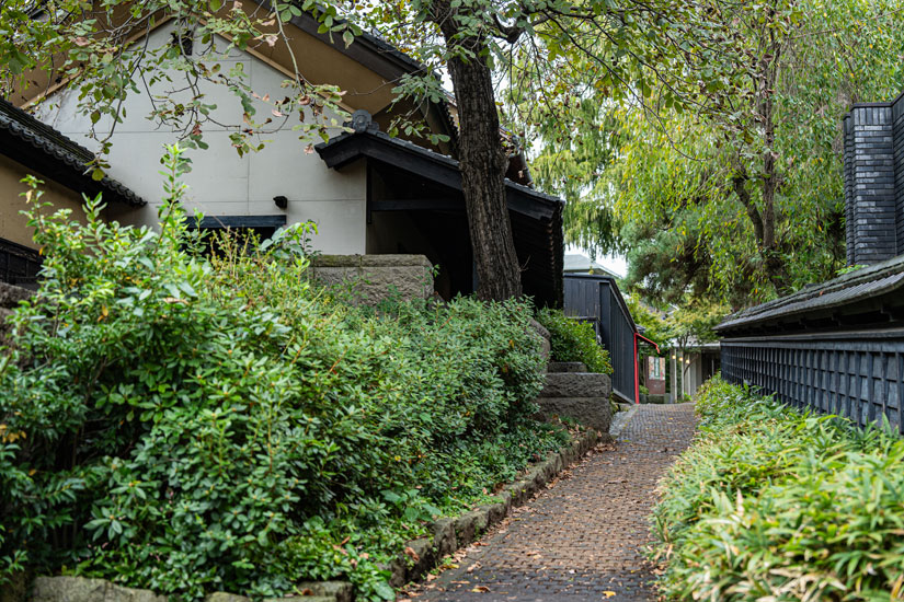 傘風楼近くから続く「栗の小径」は、栗の木の感触が足にやさしい