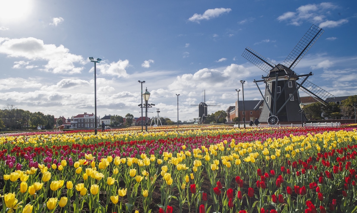 長崎の観光スポットおすすめ29選！人気定番スポットから穴場までエリア別に紹介