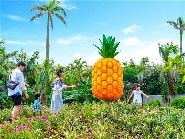 園内のビッグパイナップルオブジェは人気のフォトスポット／Nago Pineapple Park
