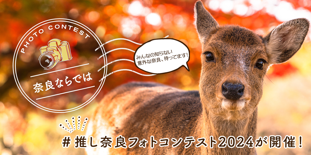 今年も開催！奈良ならでは。「＃推し奈良フォトコンテスト2024」　自分だけが知る特別な奈良の景色を投稿しよう
