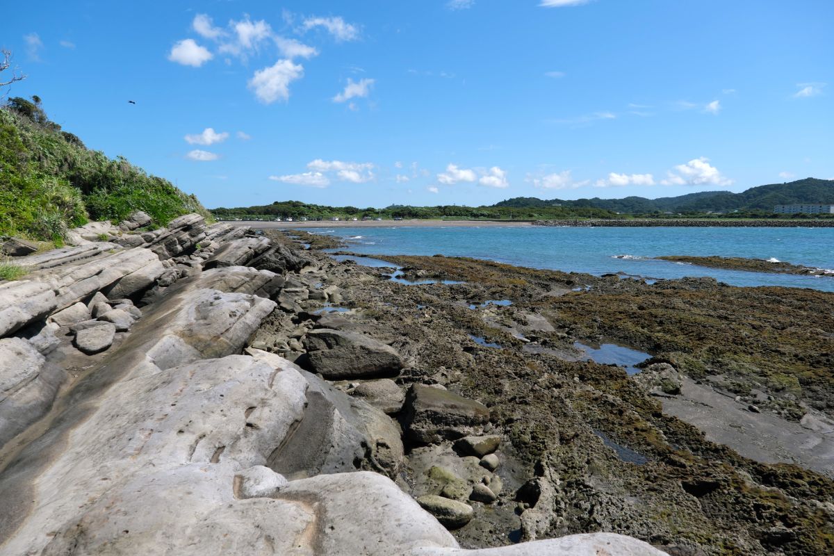 南の海岸も磯遊びに最適