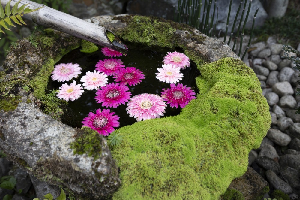 花は境内にあるものが中心ですが、時期によりガーベラなどが飾られます。