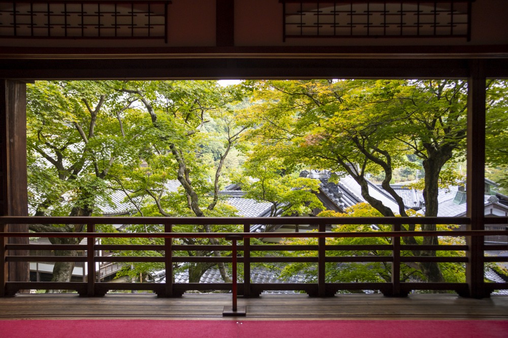 長年使われず、雨戸も閉めたままでしたが、2014年の映画の撮影で美しい景色が解放されたとのこと。