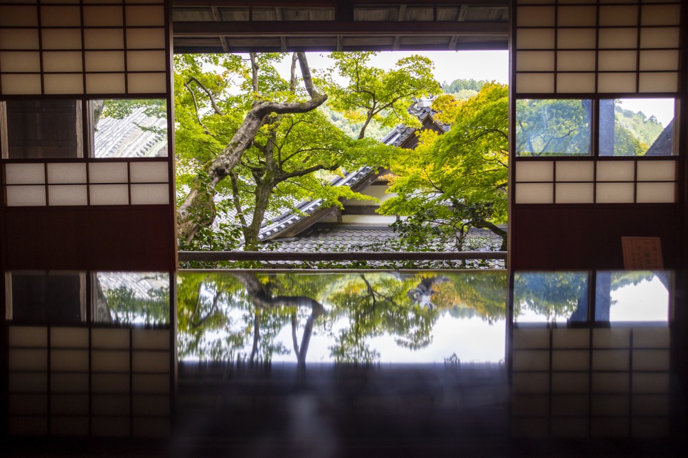 机に反射する「リフレクション」の景色を撮影する人多し。