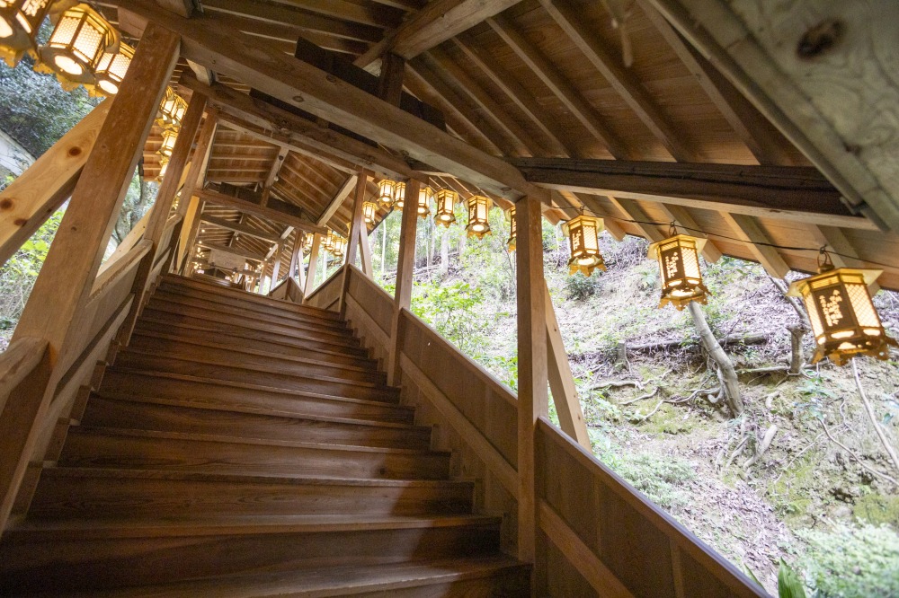 木造の階段には、電球が飾られ幻想的な雰囲気。この先にもまだまだ名所がたくさんあります。