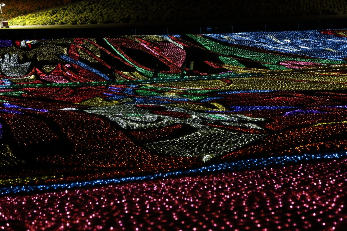 なだらかな起伏の芝生広場が鮮やかに浮かびあがる