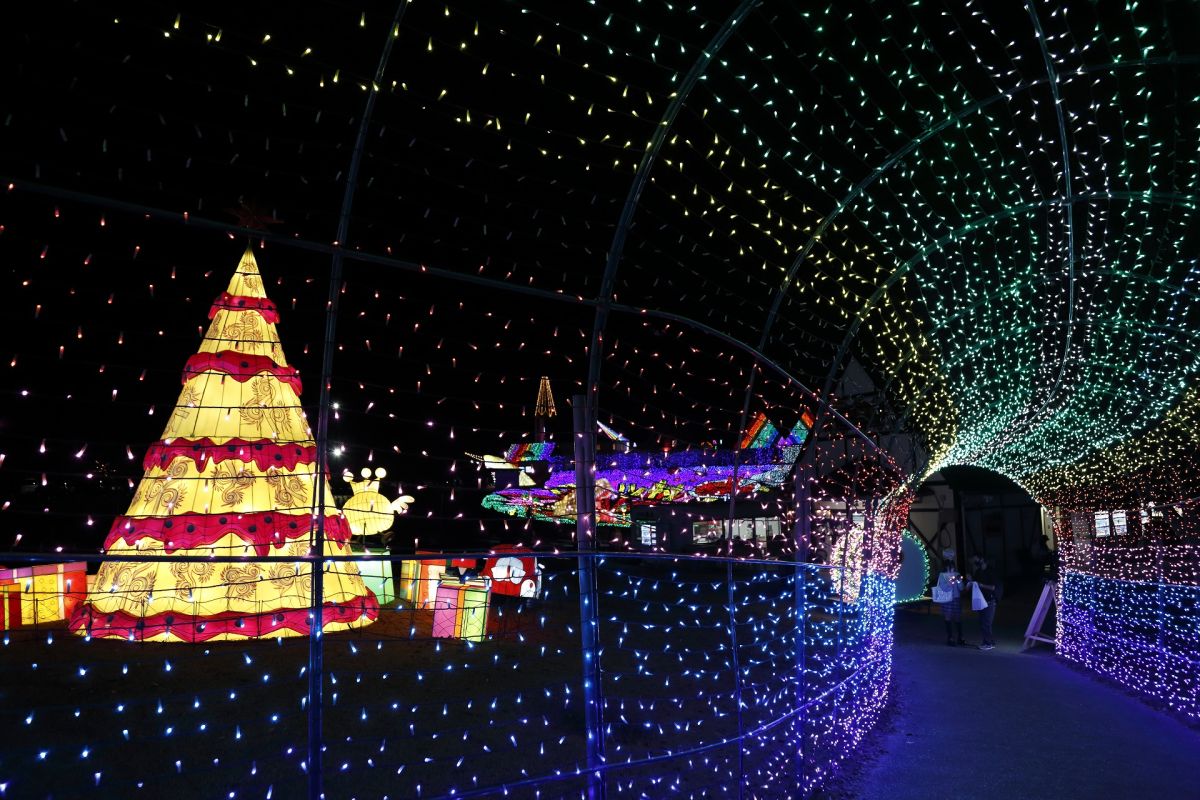 毎年大人気の 「レインボートンネル」