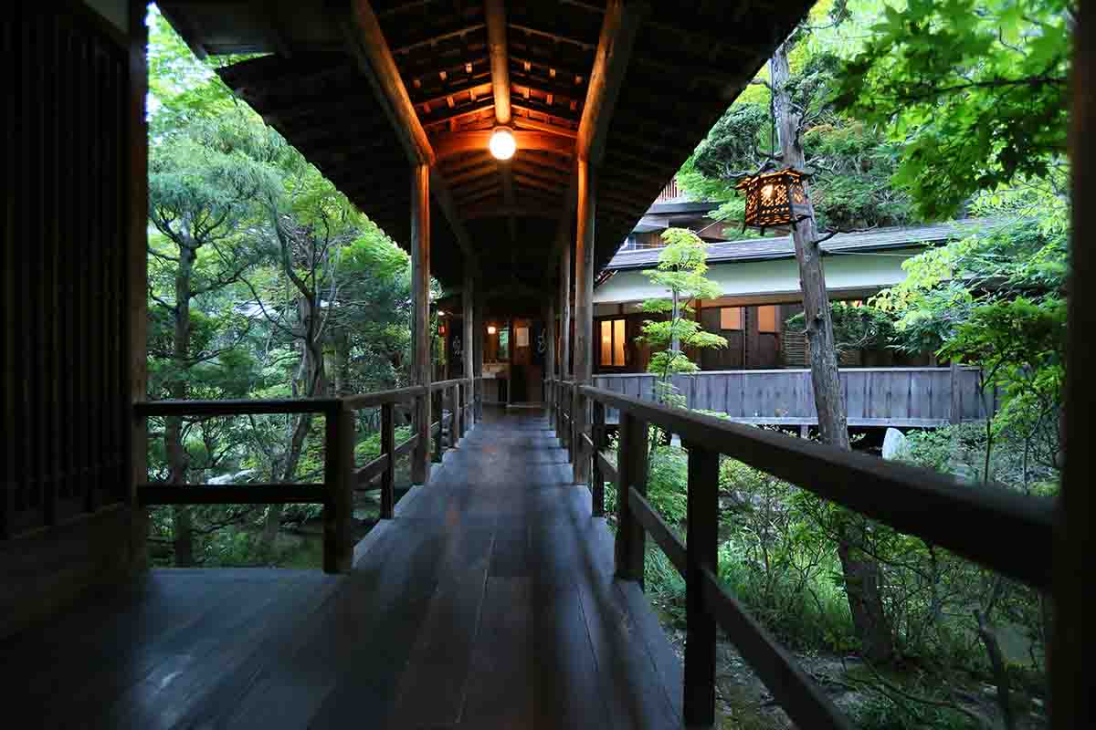 豊かな緑の中に渡された回廊。木造建築でぬくもりを感じさせる