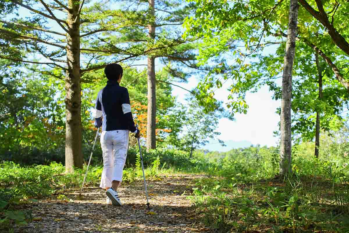 オプションで 周辺の森を歩くガイド付きのネイチャーウォーク（120分／ 3800円）を体験できる